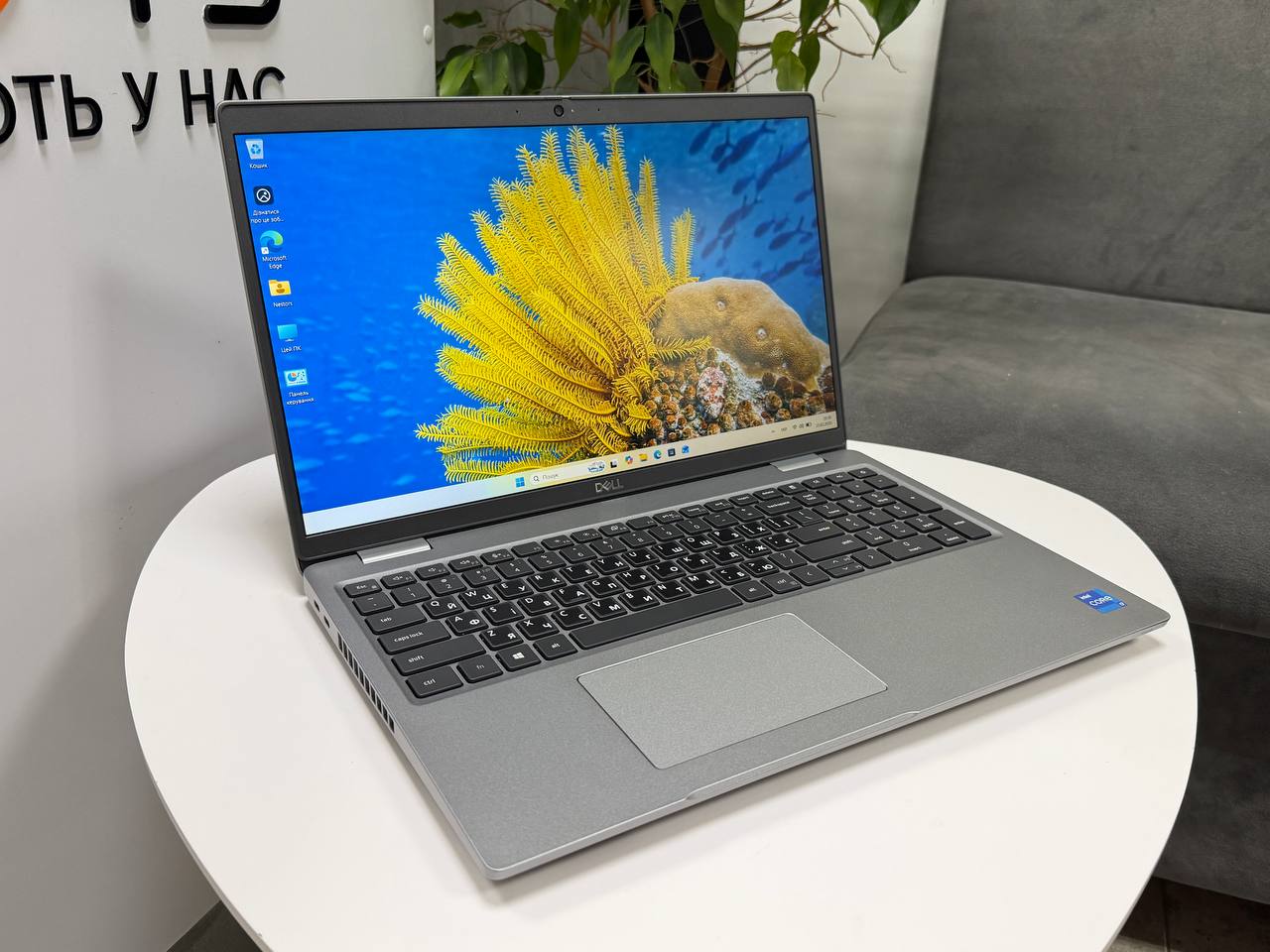 Dell Precision 3561