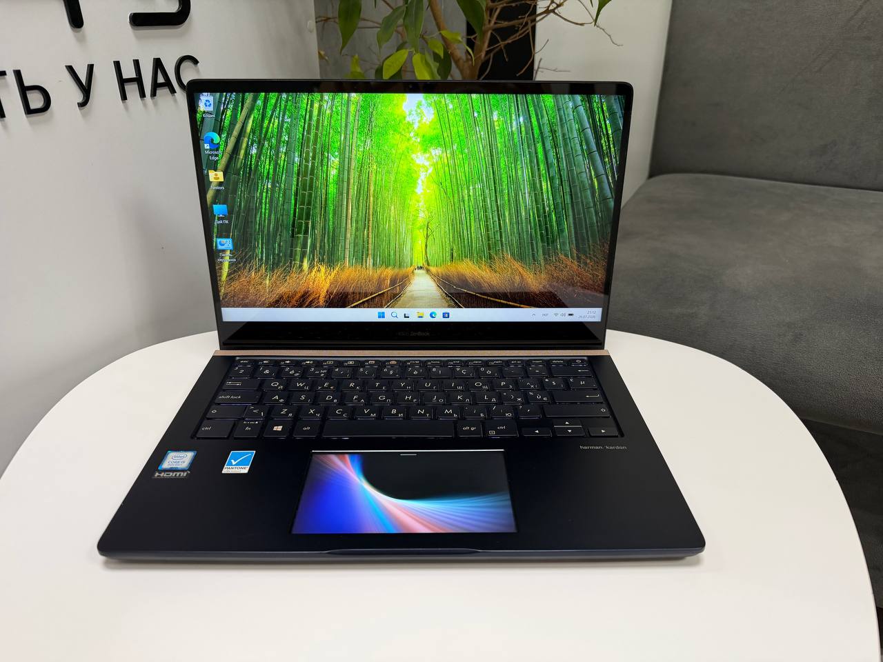 Asus ZenBook UX450FDX