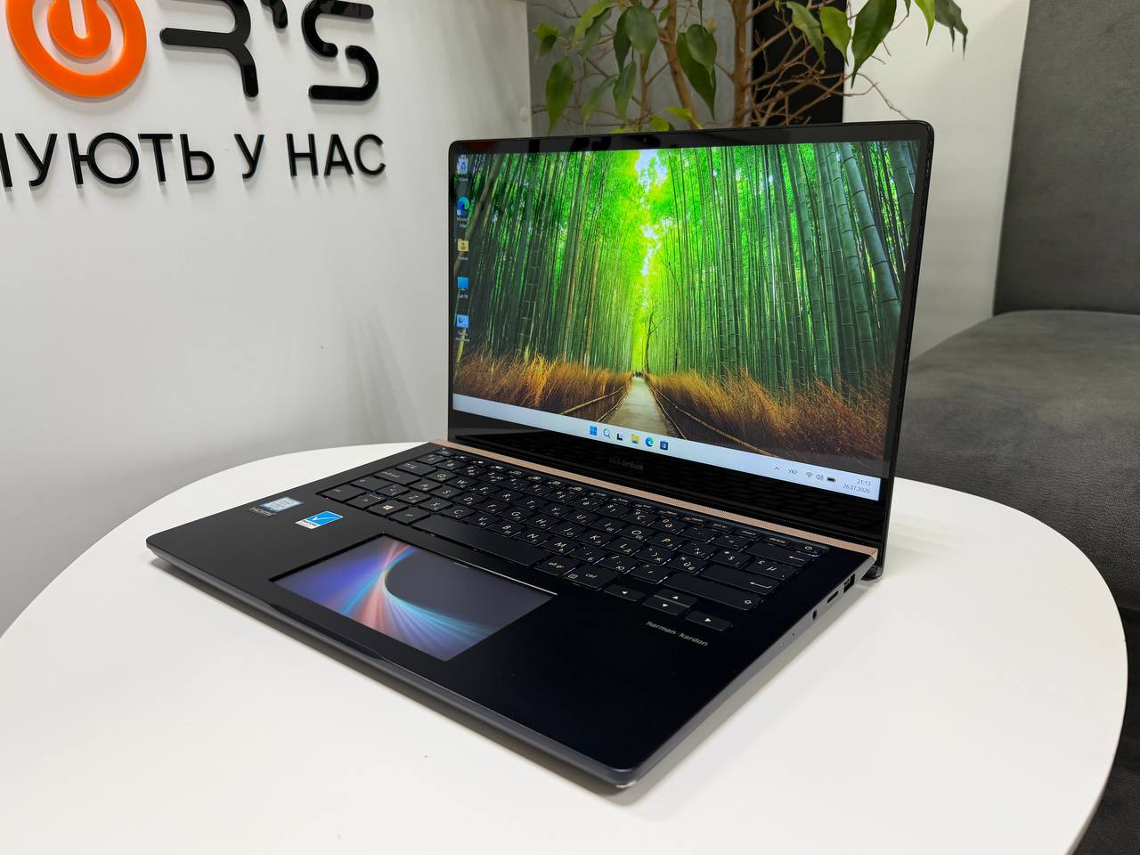 Asus ZenBook UX450FDX